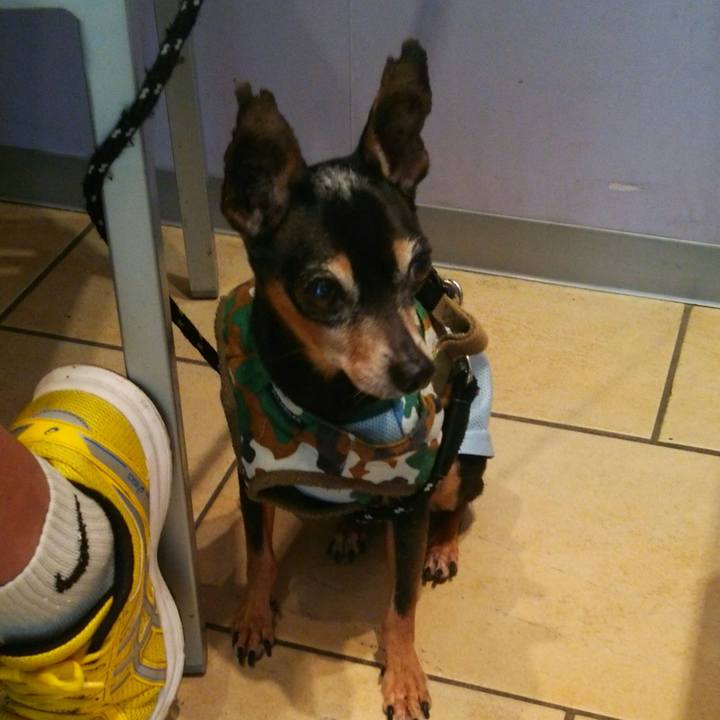 Cd49840b 310d 46f8 bfc1 55c0d651cd23