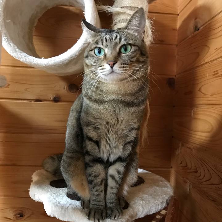 Cd49a847 7da0 4866 9bac 2489044509f4