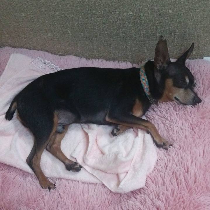 Cd49cb55 a9f3 44bd 9162 543cfa677a81