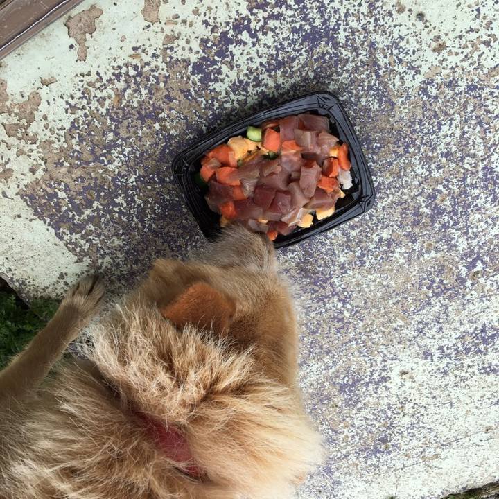 Cd4a09fa beaa 42ef af54 e0bef142d7ee