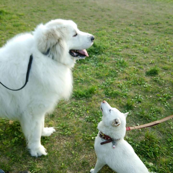 Cd4a2f86 46f1 4a86 9bfe 77fd96d86a1d