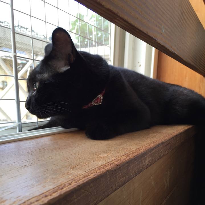 Cd4a4d40 8e72 42bb 8fdf f8e9f53625e4