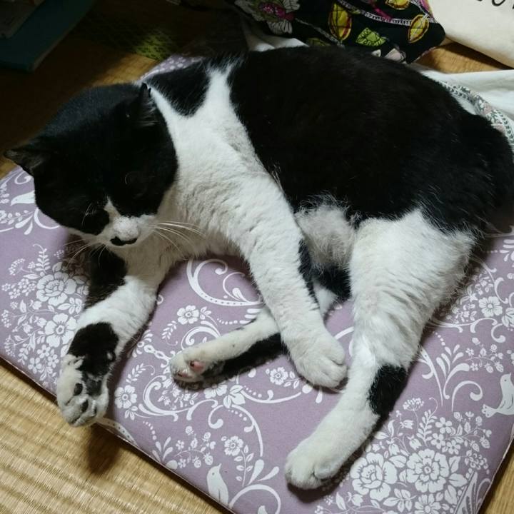 Cd4a8a34 eb8d 4a00 a322 f283494427f6