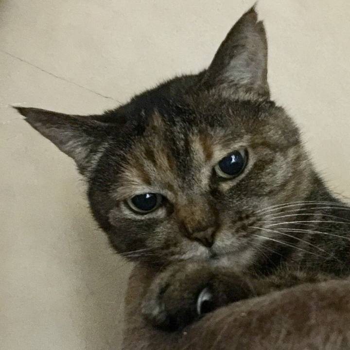 Cd4b0084 6f62 486f b7e8 da6d5f7cec7c