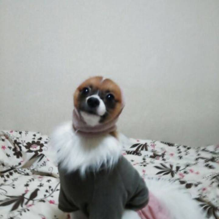 Cd4b1223 6ebf 4ef0 8d10 c946ac53c5e2