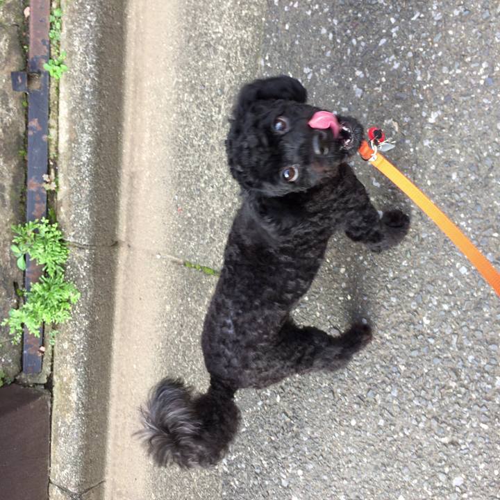 Cd4ba3bb 8611 4597 854a afc310d32a0a