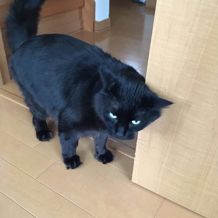 Cd4bc542 d668 4cbf 9add 572c8da86089