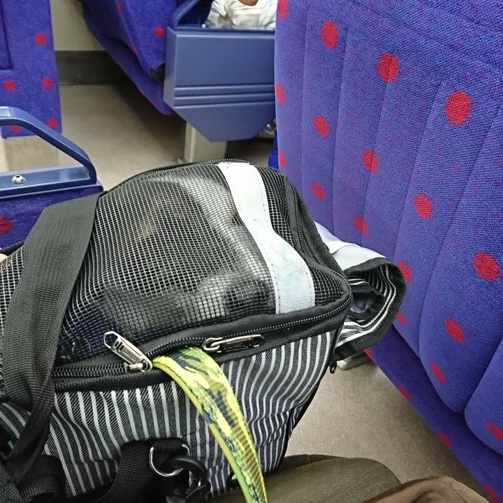 Cd4c4d26 c2b6 4d8a a8f8 f3c34724e54a