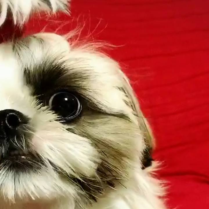 Cd4c9019 7f38 41ba 9c7d 0122c161a39d