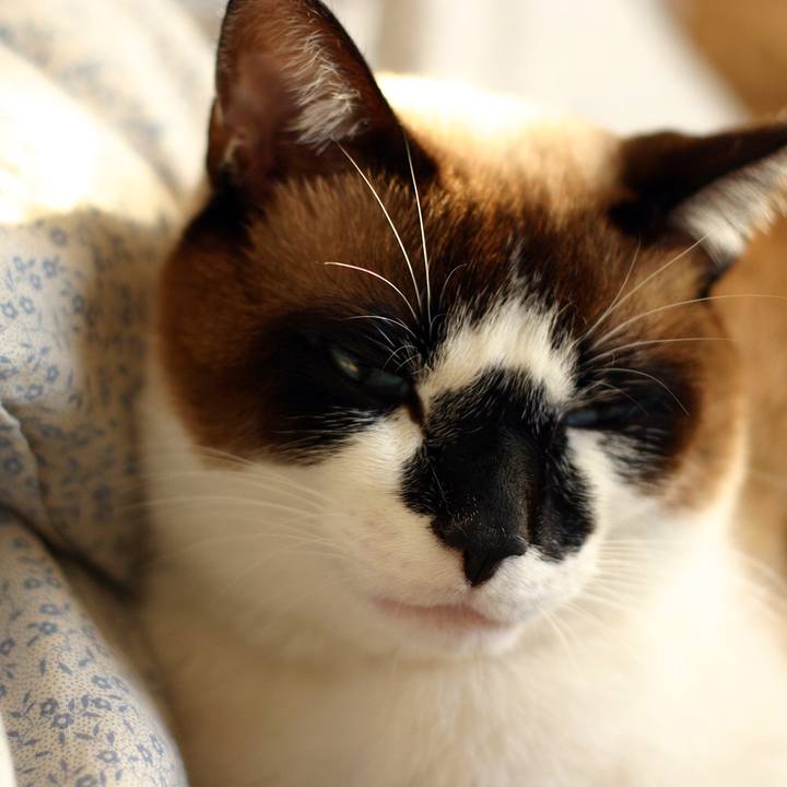 Cd4cb90b 00c1 4206 bf5e 2b387aabd878