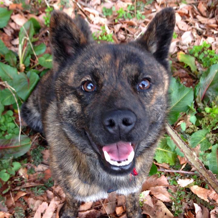 Cd4cd15b cd33 4130 88d0 2776cab7f6d3