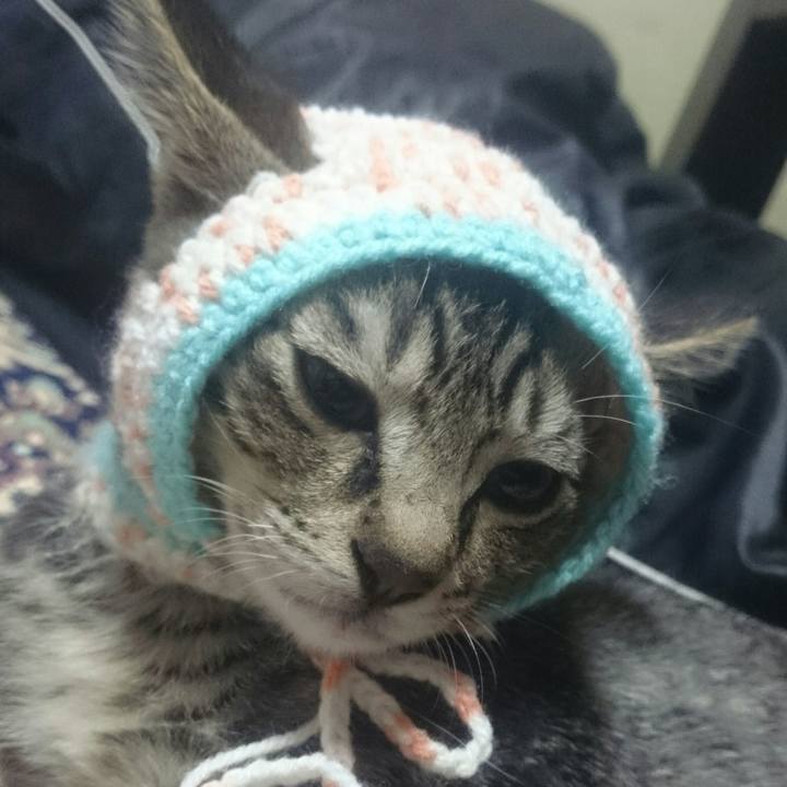 Cd4ceccf 4399 43bc 9469 55a416fddf9b