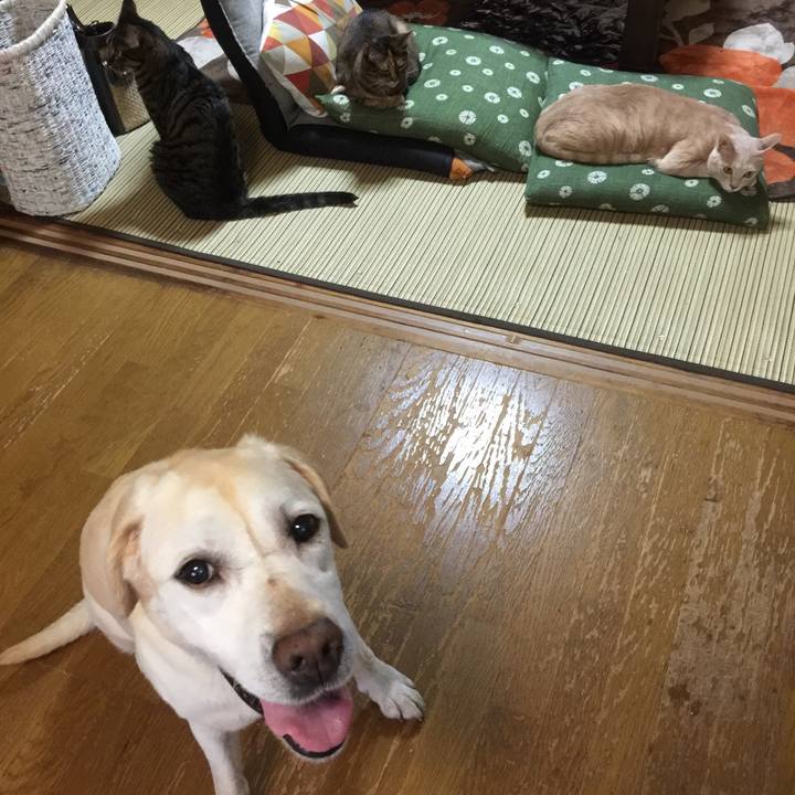 Cd4d119e 6ef9 4dd0 9cce 26e028db7539