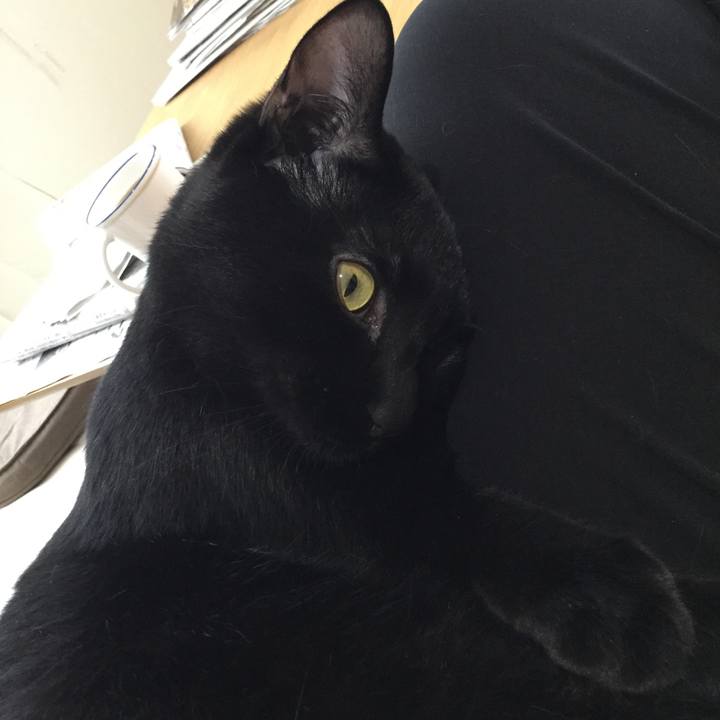 Cd4de5ba 516b 481e b282 32440390d13e