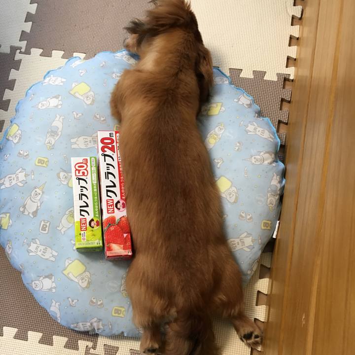 Cd4e564d 6e88 4730 9418 e6cd3fdaf31d