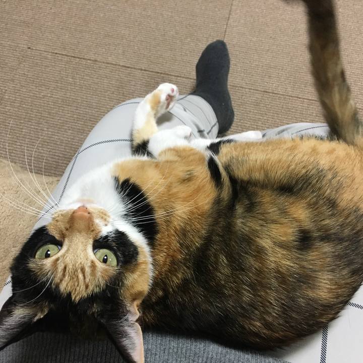 Cd4e81de 9e46 4b00 8998 219856a9b422