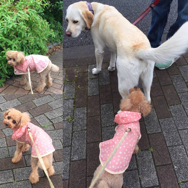 Cd4eabb5 4821 4e31 b2f2 988005ab1e52