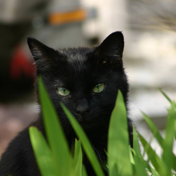 Cd4f0abb a8ad 4413 bc78 96916c7fd3fc