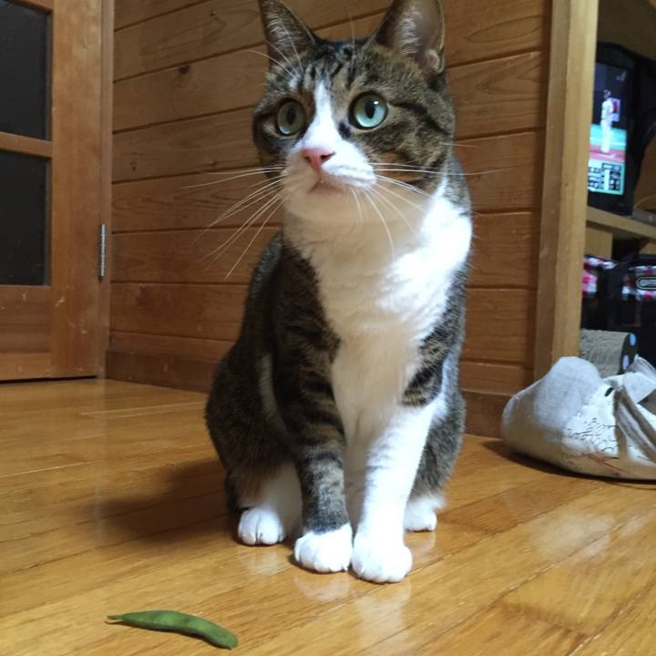 Cd4f29c0 2c5b 4d95 a1b3 fa7af10afdbf