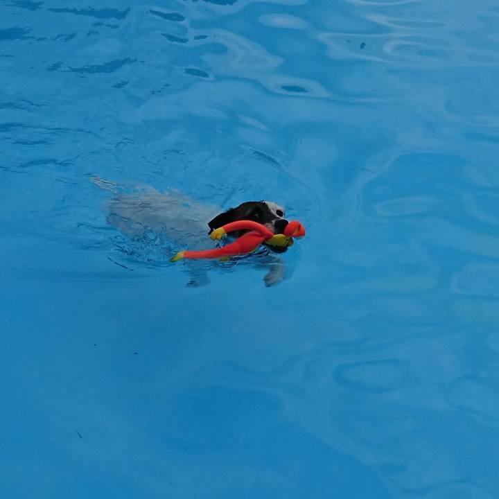 Cd4f50c1 db68 4ecb 9c3f 754a89aa5682