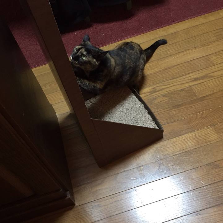 Cd4f601e 54de 42a2 a0f3 3c2ee1ffd6cf