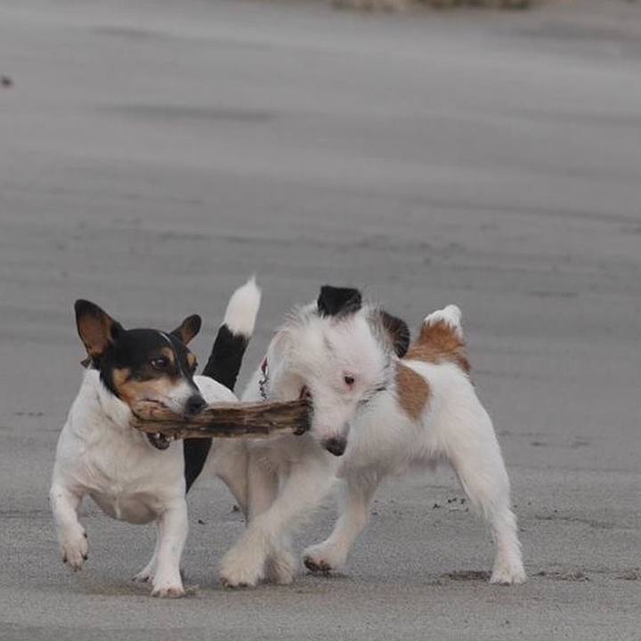 Cd4f626b 3cea 43aa bac4 988fc264cba0