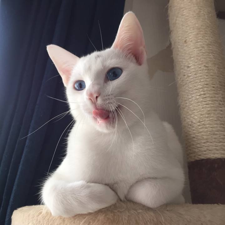 Cd4f6659 4826 4a7d 922d 22e074bdca86