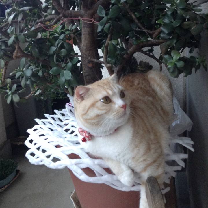 Cd4fb7d9 f437 4182 ac9a f40de2e7f626