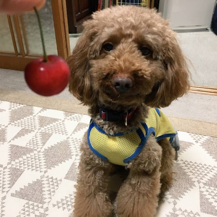 Cd5110d2 2b1d 49fb 8990 7e52b2fb0339