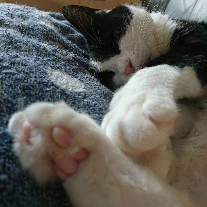 Cd520a42 83c6 4499 a43e f81c1bce781f