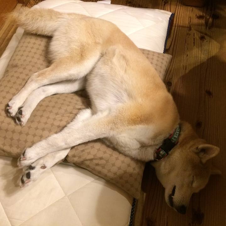 Cd529dd4 0206 4348 a62c 28d78615679a