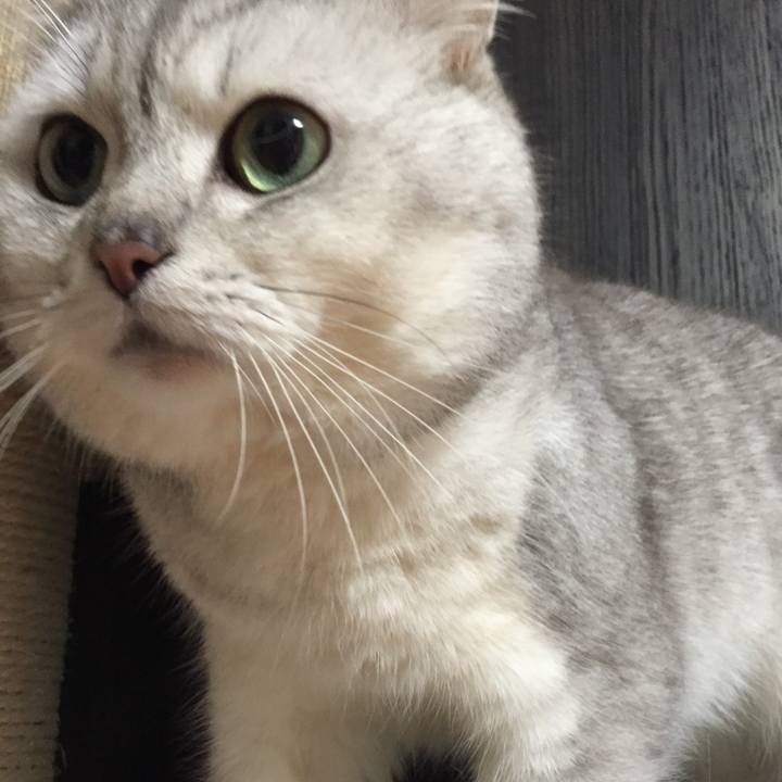 Cd52b2fc 5b2b 4402 b3be 1d68f1553cd5