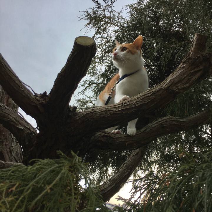 Cd52f715 dfa9 473e b3e1 a5185e67917d