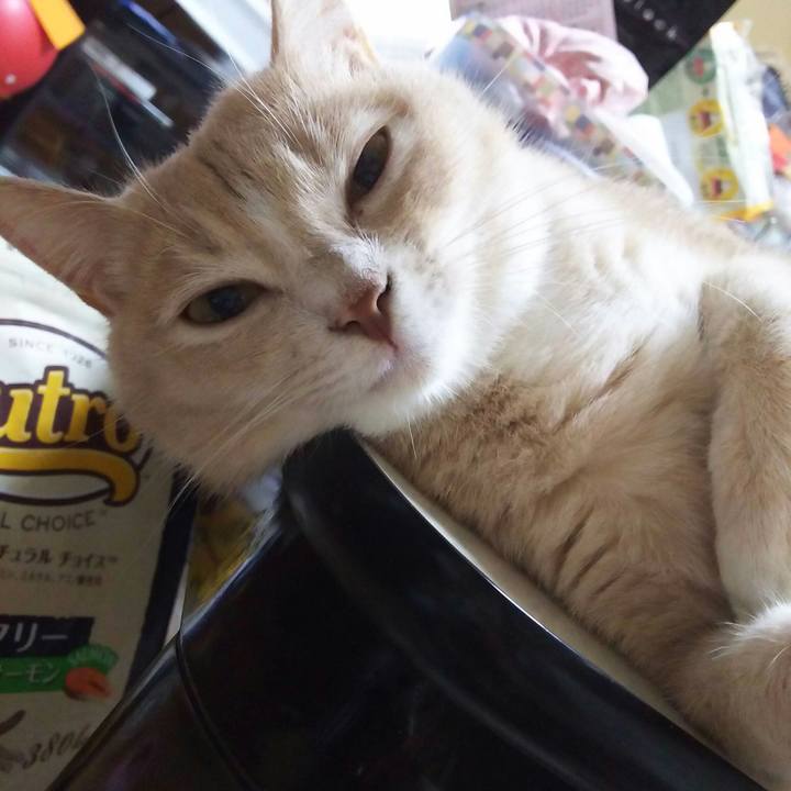 Cd5380b9 1c4a 4dc5 9a98 5b3e6ee3c6b5