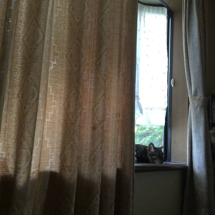 Cd538f1d 20e3 4ea3 9255 6d5ca28013f2