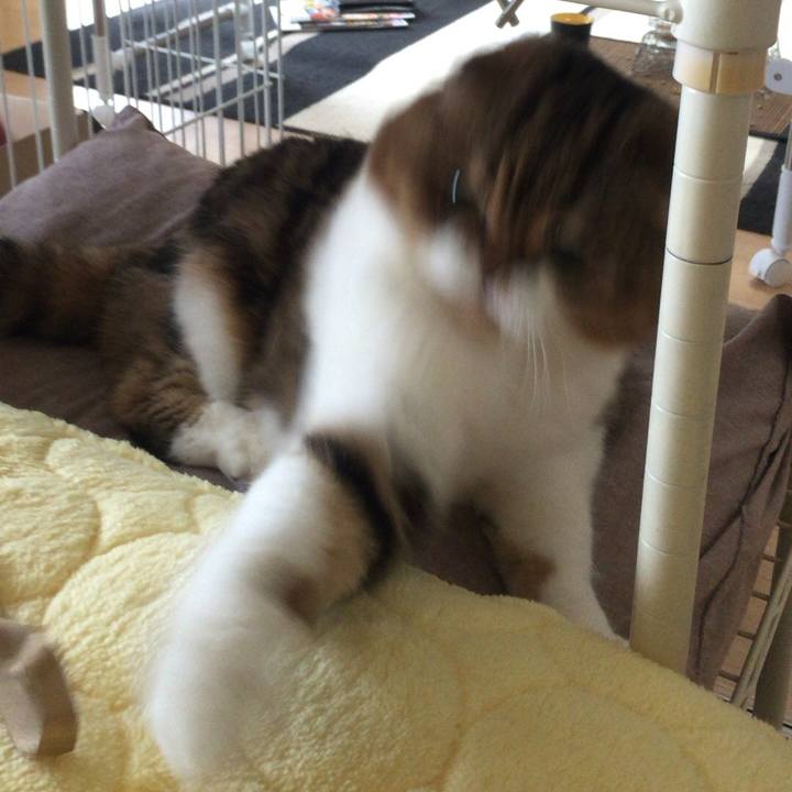 Cd548714 e78d 4a5e 952b 65621c9f3a45