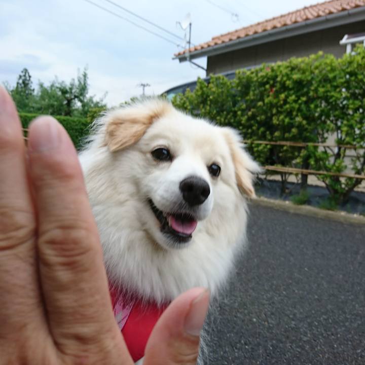 Cd54ae95 974a 4988 9f74 5b7d5c308eb6