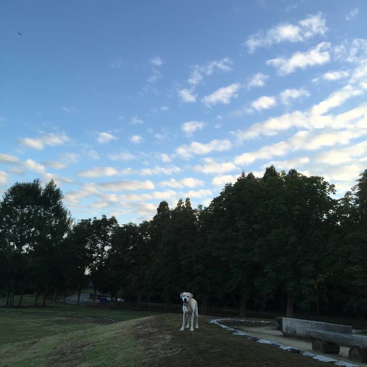 Cd550a7a 1da8 4063 baaf fbfdec1dfaae