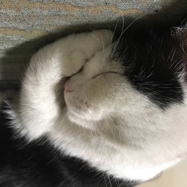 Cd555747 0847 438e bb7b 49a29159512c