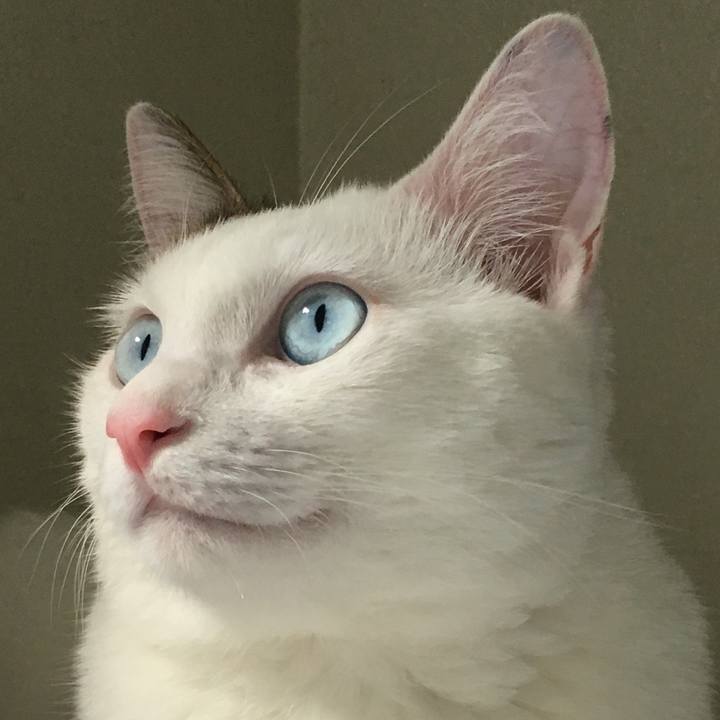 Cd55e498 d377 47bb a8be 85e8d37e43ce