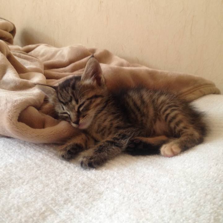 Cd58027e 6a95 4411 bc7f ed55ab1a4172