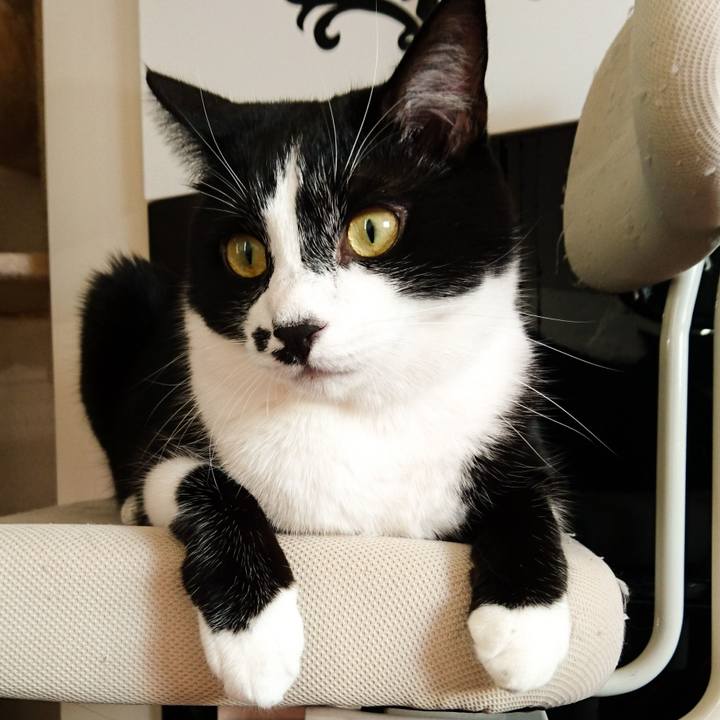 Cd586995 932c 4225 8793 ab8e91c4c671