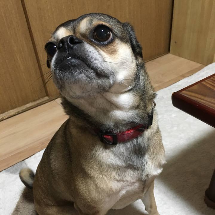 Cd589fb1 3c33 4dcb b5d9 47eafc4e26ae