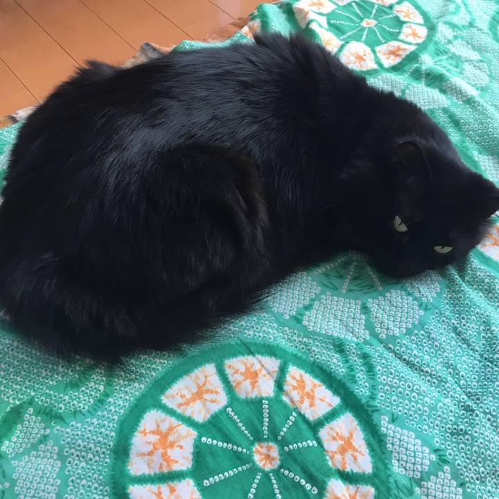 Cd58b4fa 9066 4ff4 913f b5afe5438795