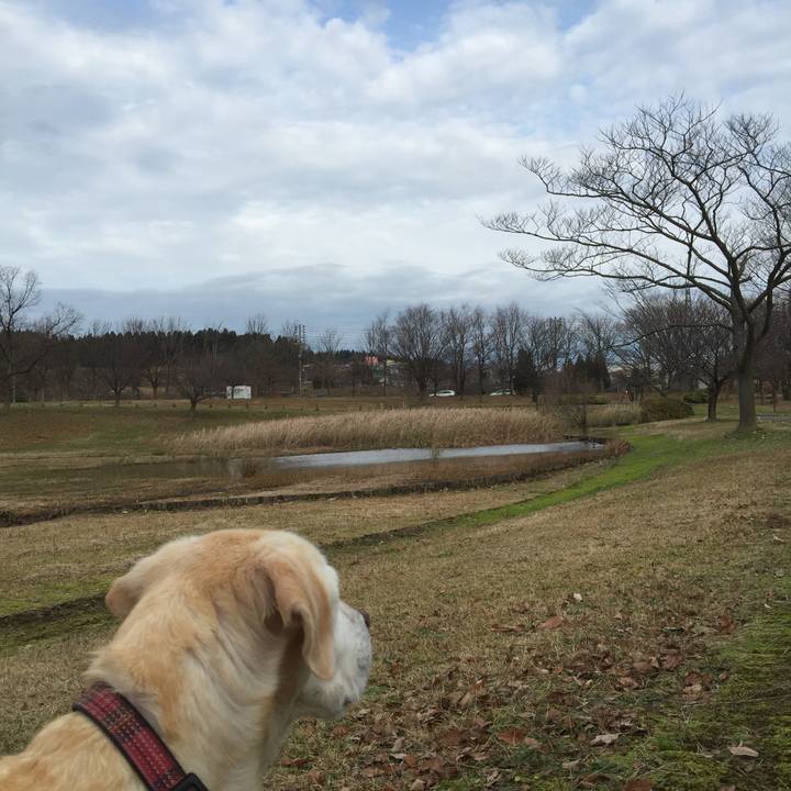 Cd58cfd6 ff3f 4188 a838 dca82dc5c7b2