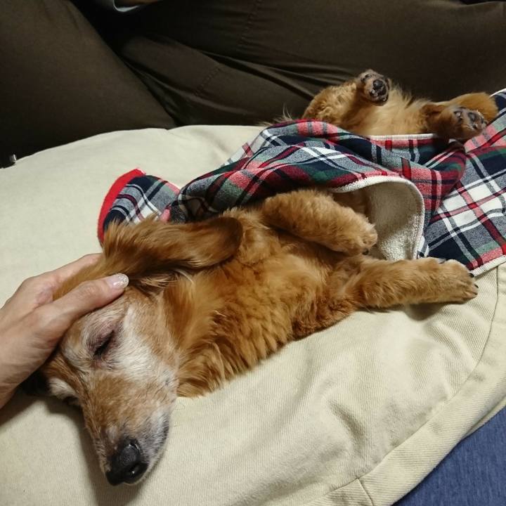 Cd58e59f abde 4cbd ab7b 5a50b269a8ac