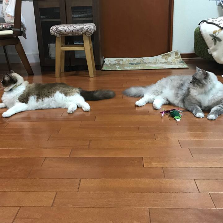 Cd595995 e701 495d a96b 3af68595dc05