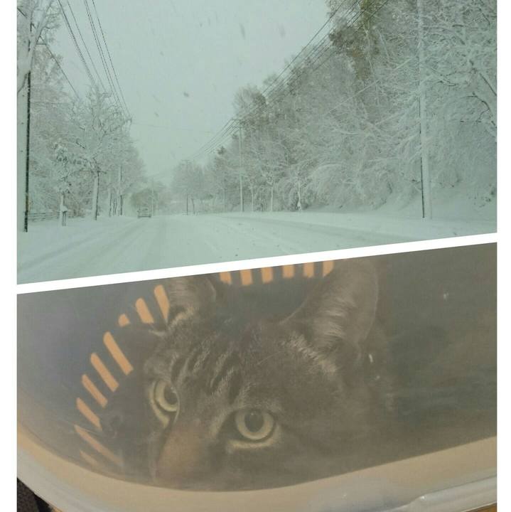 Cd59ce36 ceb7 4f43 ab9a 287b958fb4a2