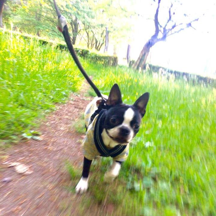 Cd59e89c 039a 4c13 aa76 c34c67d6f860