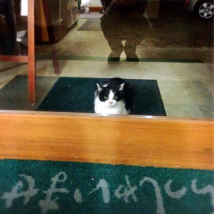 Cd5a02da 3935 4d54 98b4 970b326b85c0